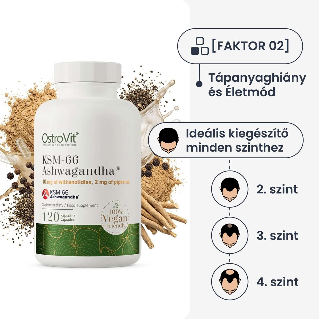 OstroVit stressz ellen: KSM-66 Ashwagandha 120 db