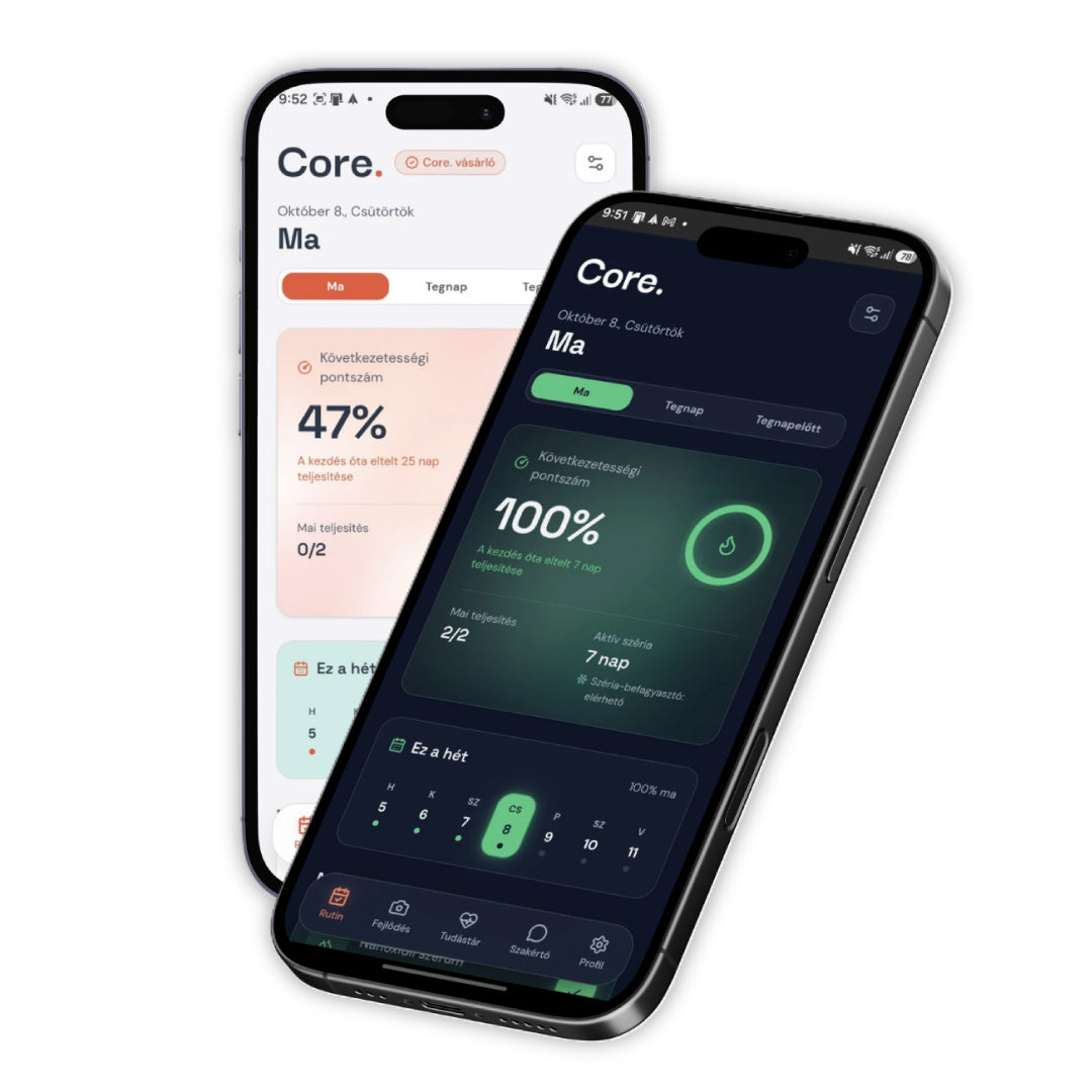 Core.Control App Lifetime hozzáférés